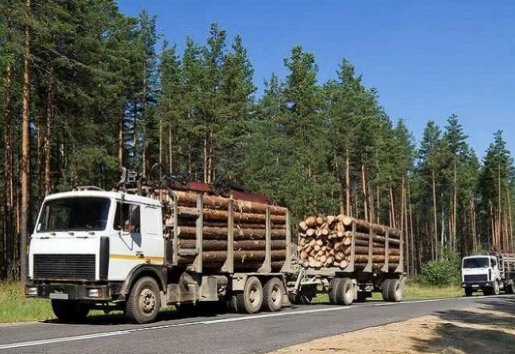 Лесовоз Лесовозы для перевозки леса, аренда и услуги. взять в аренду, заказать, цены, услуги - Шахтерск