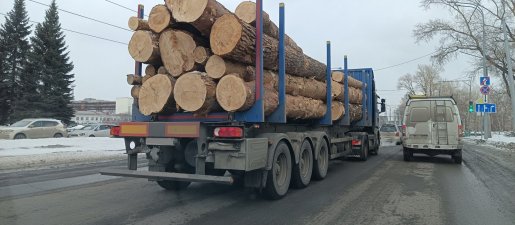 Поиск транспорта для перевозки леса, бревен и кругляка стоимость услуг и где заказать - Южно-Сахалинск